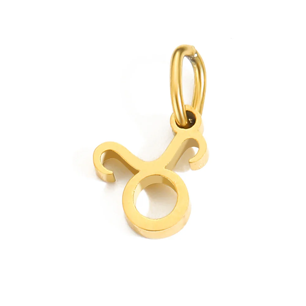 Zodiac Pendant Charm - Image 19