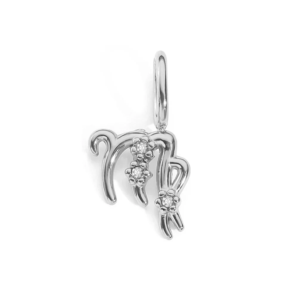 Zodiac Sparkle Charm - Image 22