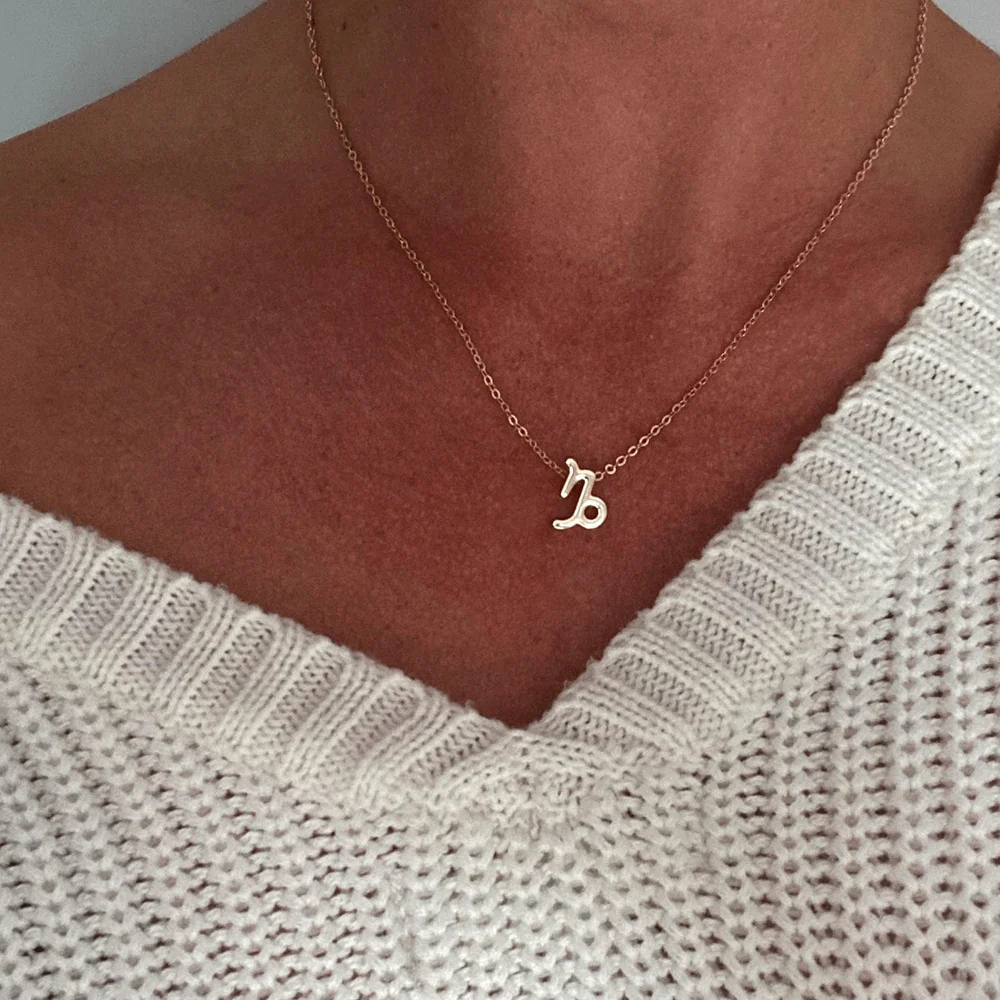 Zodiac Symbol Charm Necklace - Image 3